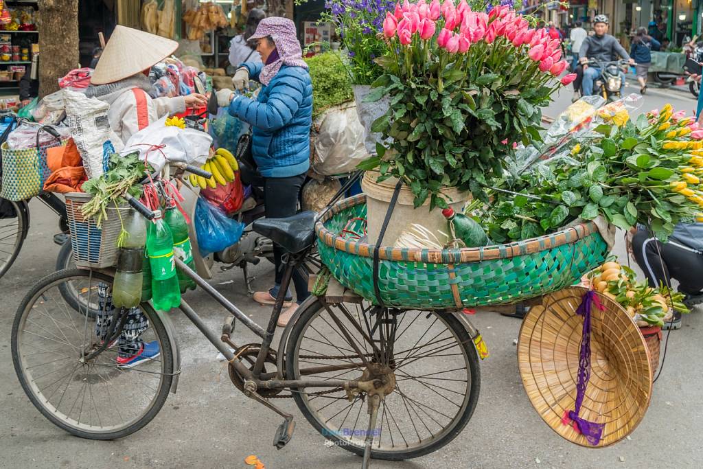 Vietnam