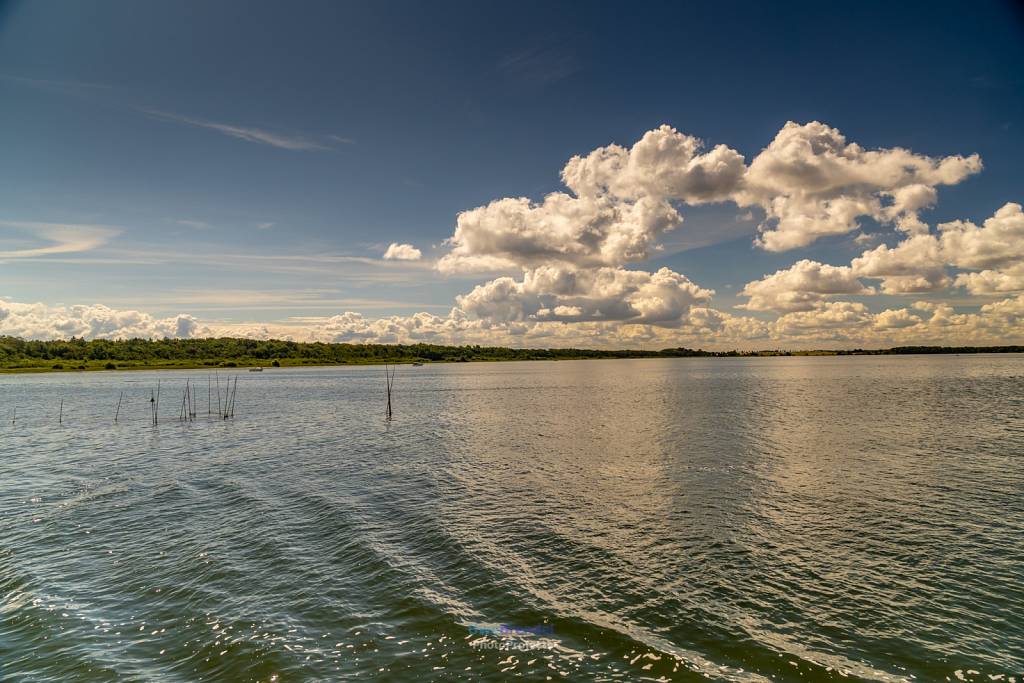 Müritz