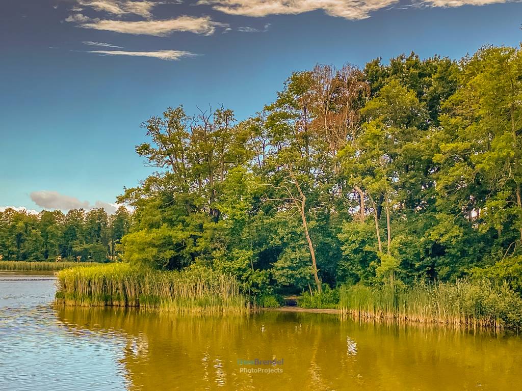 Müritz
