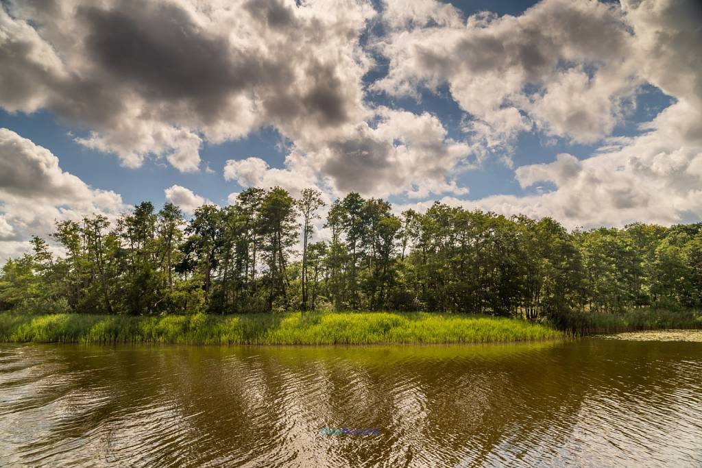 Müritz